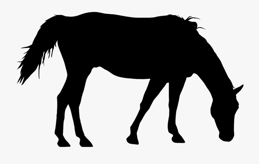 Paint Horse Grazing - Black Horse Clipart Grazing, Transparent Clipart