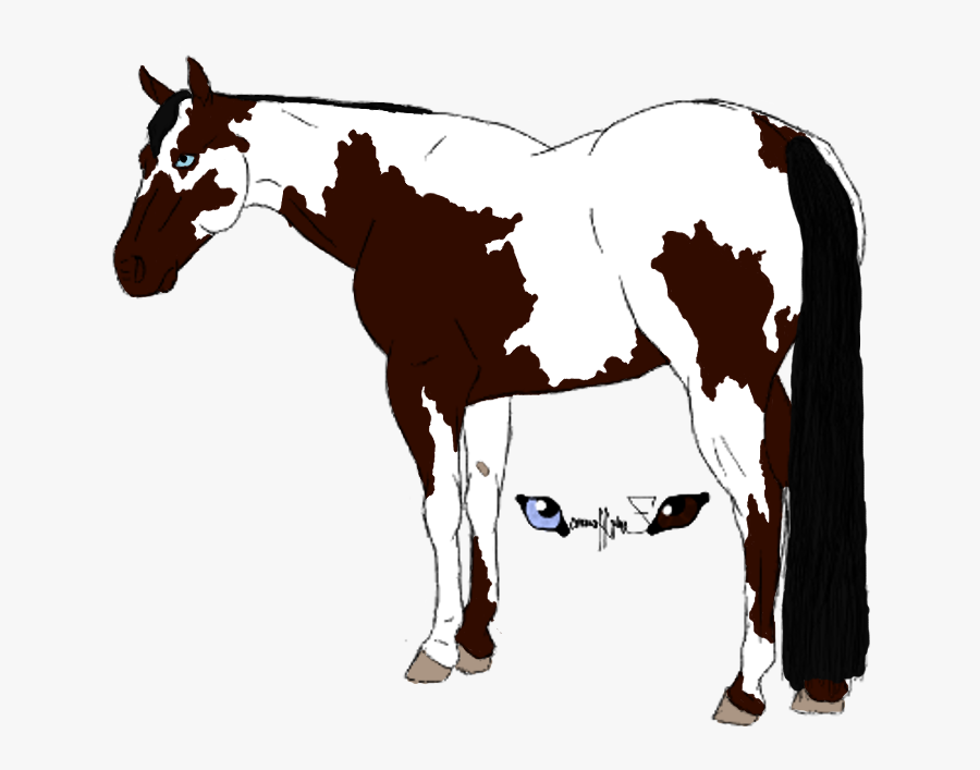 American Paint Horse Foal Drawing Clip Art - Draw A Horse In Ms Paint, Transparent Clipart