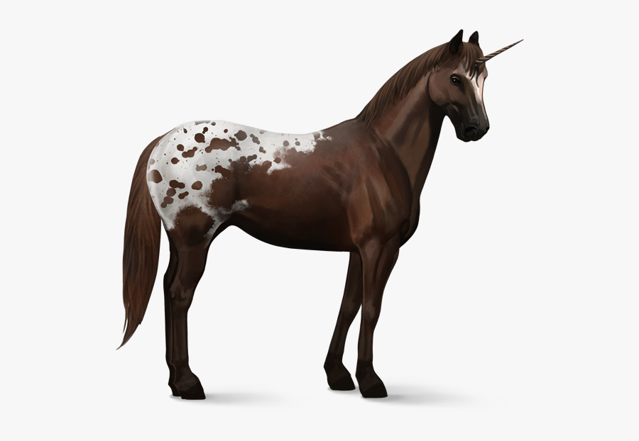 Howrse Paint Horse, Transparent Clipart