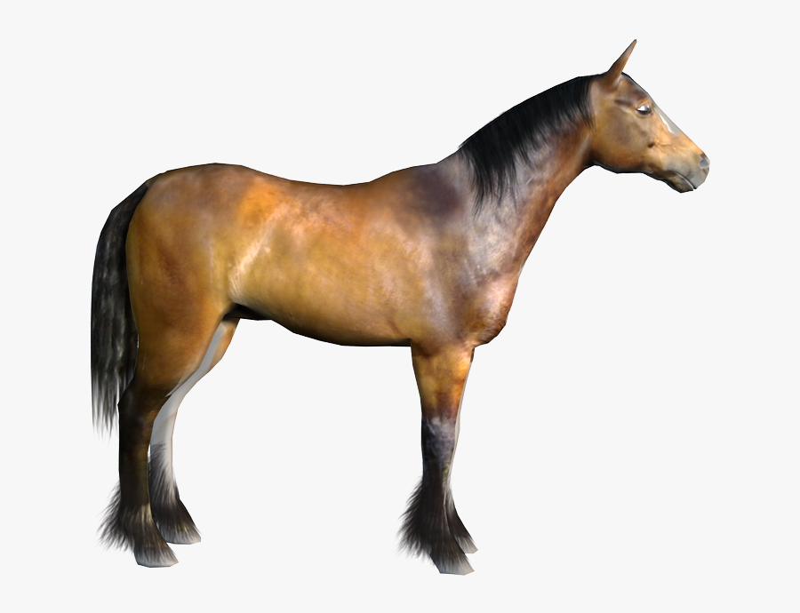 Clip Art Distractions A New Model - Mustang Horse, Transparent Clipart