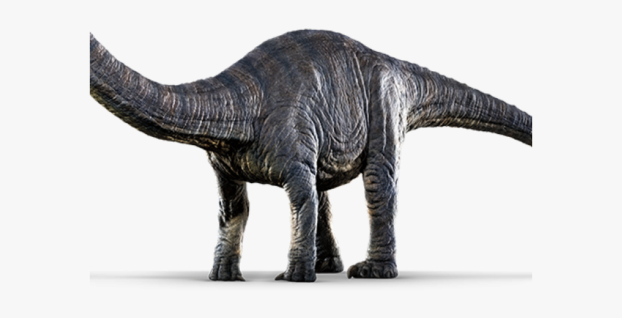 Extinct Clipart Apatosaurus - Apatosaurus Png, Transparent Clipart