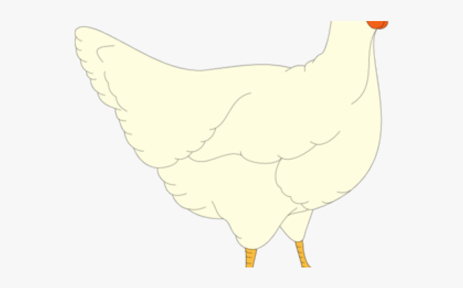 White Chicken Cliparts - Chicken, Transparent Clipart