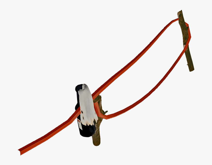 Molotovwiretrapfarket - Monkey, Transparent Clipart