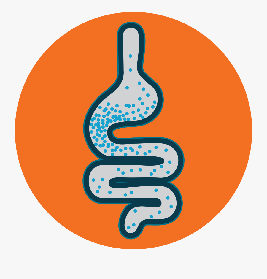 Illustration, Transparent Clipart