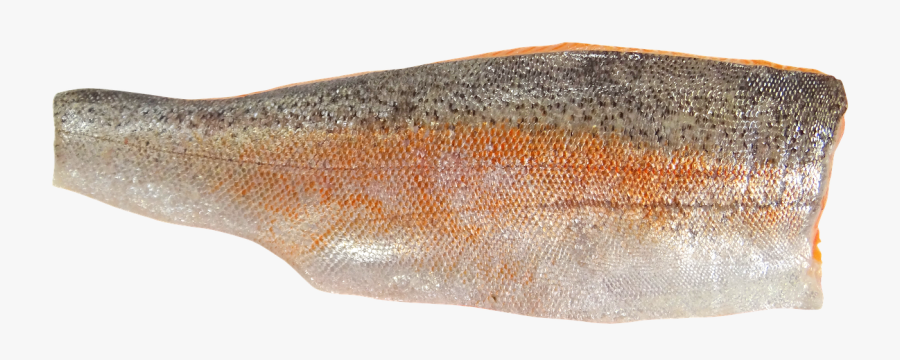 Fish Fillet Png - Alabalik Fileto, Transparent Clipart