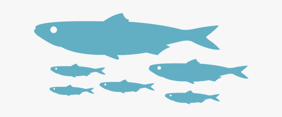 Picture - Fish Line Png, Transparent Clipart