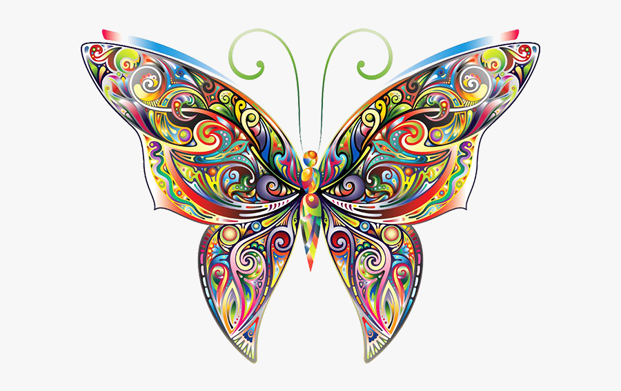 Butterfly Coloring Colorful Illustration Decal Book - Iron Print Clothes, Transparent Clipart