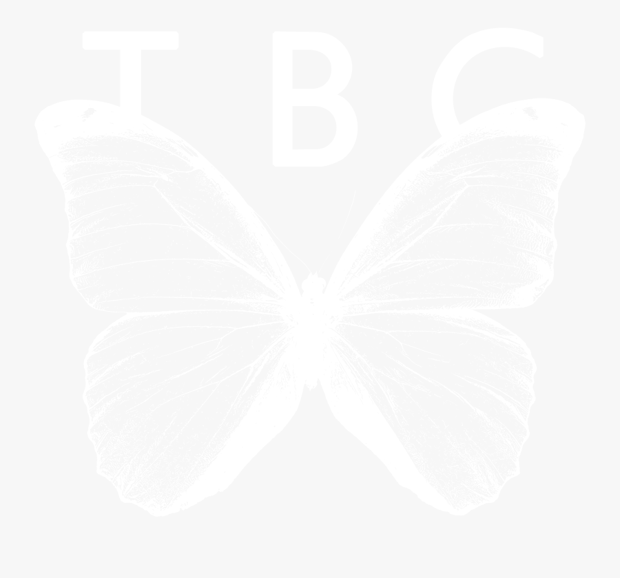 Transparent Butterfly Vector Png - Lycaenid, Transparent Clipart