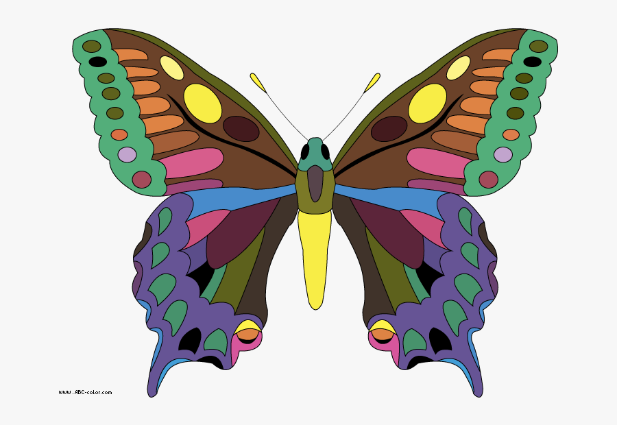 Swallowtai Butterfly Picture - Метелик На Прозорому Фоні, Transparent Clipart
