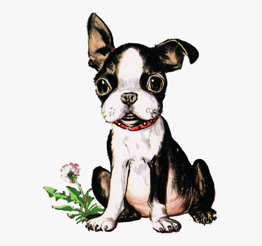 Terrier Drawing Vintage Dog Clip Art Black And White - Boston Terrier Puppy Clipart, Transparent Clipart