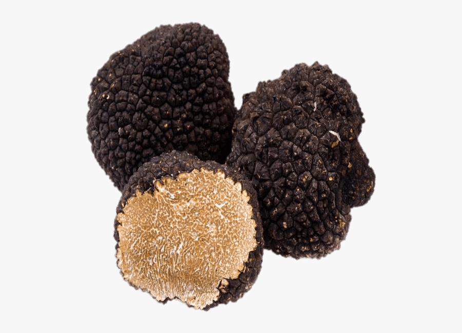 Black Truffles - Black Truffle, Transparent Clipart