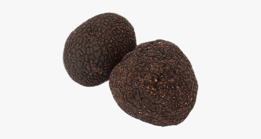 Duo Of Black Winter Truffles - Truffles Png, Transparent Clipart