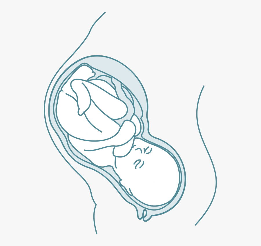 Swallowing Difficulties In Children - Illustration, Transparent Clipart