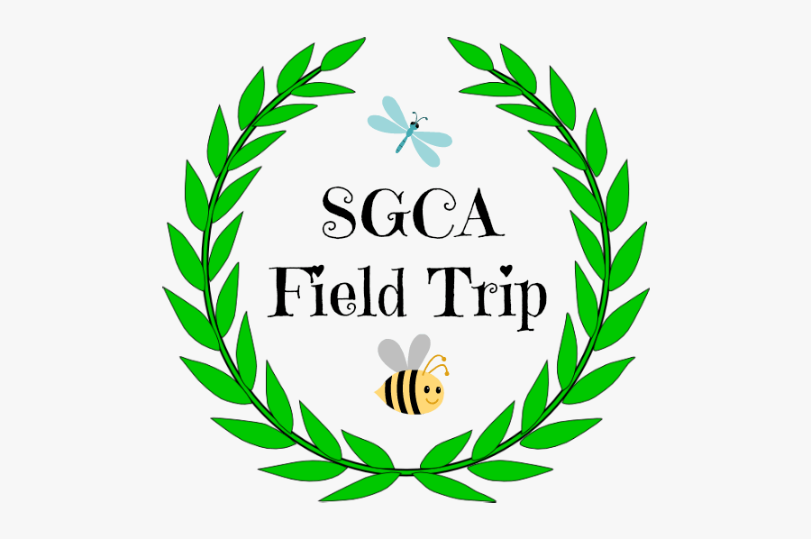 Natural Science Museum - Vector Olive Branch Png, Transparent Clipart