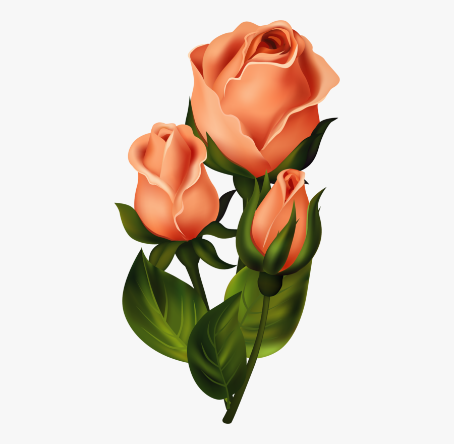 Roses Pink Roze Rosa - Paintings Of Rose Bud, Transparent Clipart