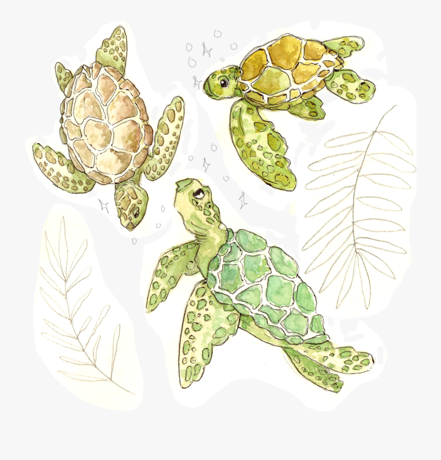 Illustration, Transparent Clipart