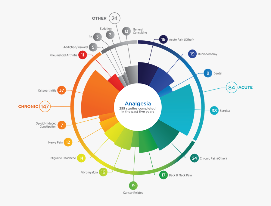 Diagram, Transparent Clipart