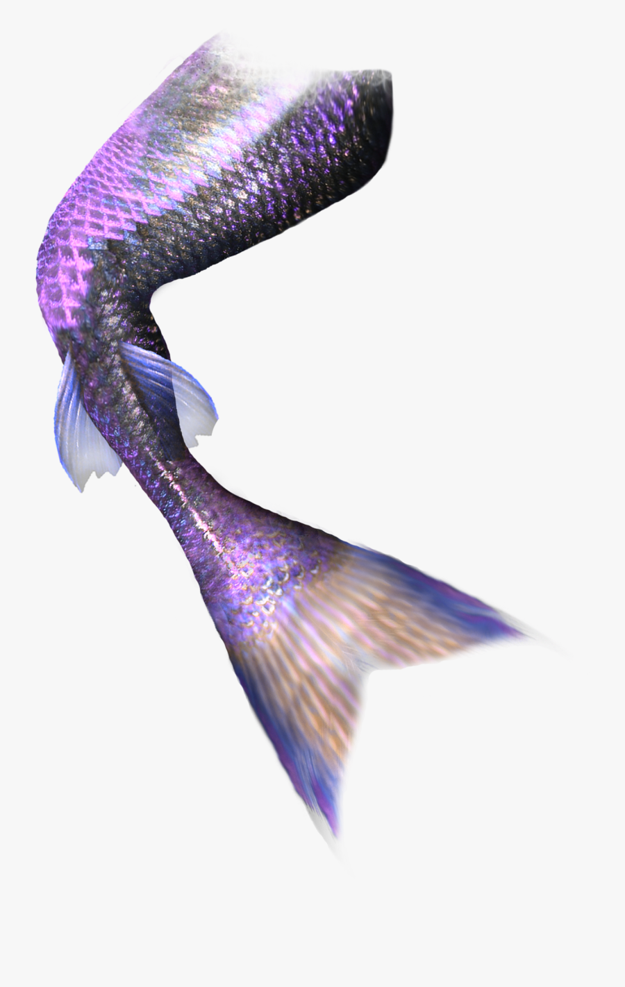 Mermaid Tail Computer File - Mermaid Tail No Background, Transparent Clipart