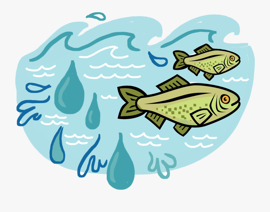 Jpg Transparent Stock Collection Of Free Delibration - Illustration, Transparent Clipart