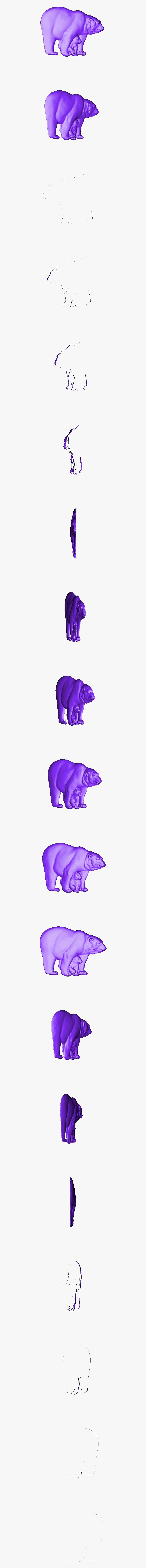 Grizzly Bear, Transparent Clipart