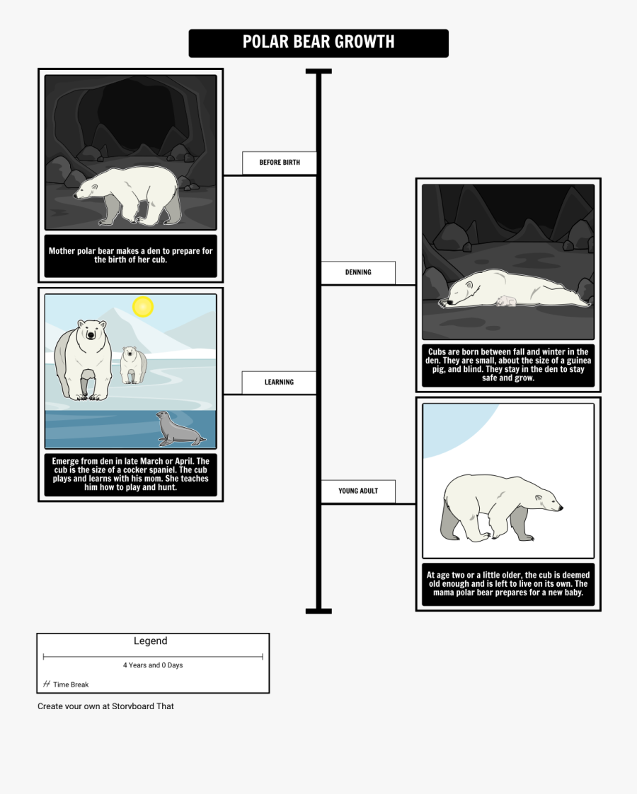 Where Do Polar Bears Live Polar Bear Growth"
 Style="max, Transparent Clipart