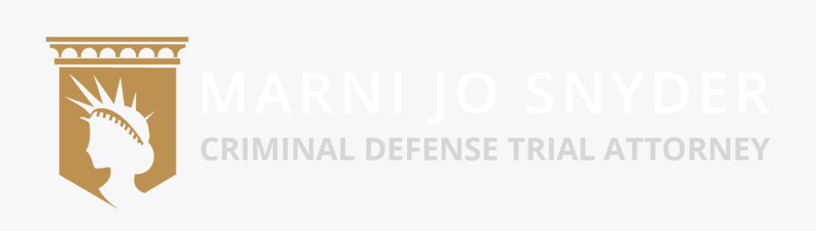 Lawyer Clipart Preliminary Hearing - Superior Electoral Court, Transparent Clipart