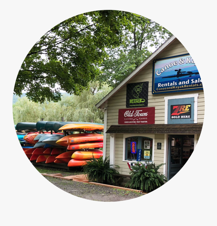 Circle Pville Shop Front 2018 - Tree, Transparent Clipart