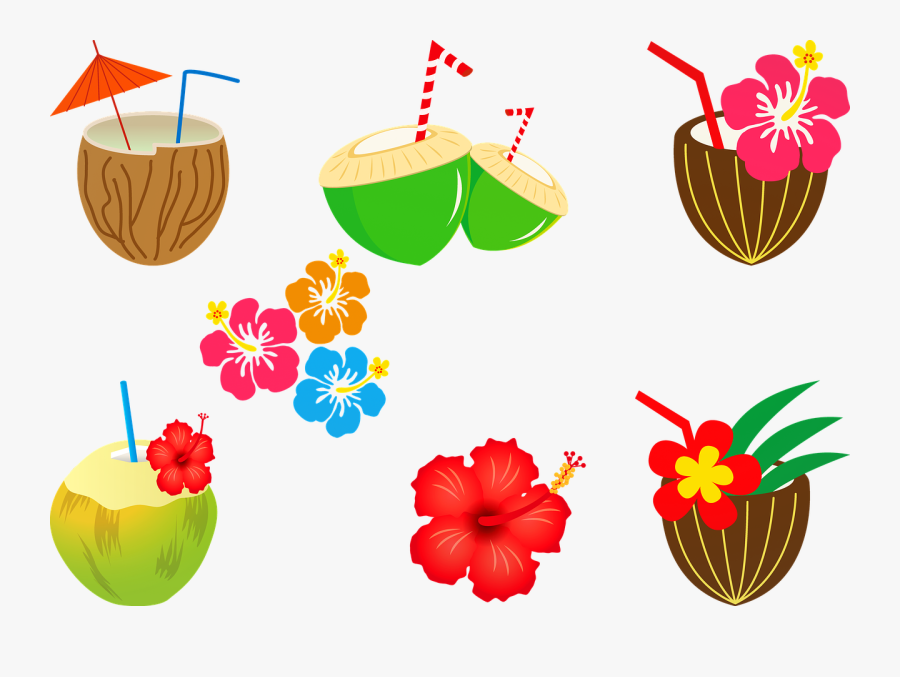 Coconut Cocktail Alcohol Hibiscus Free Photo, Transparent Clipart