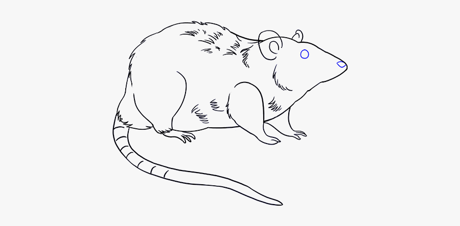 Rat Clipart Simple - Drawing Photos Download Rat, Transparent Clipart