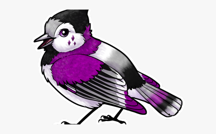 Songbird Clipart Five Bird - Penguin, Transparent Clipart