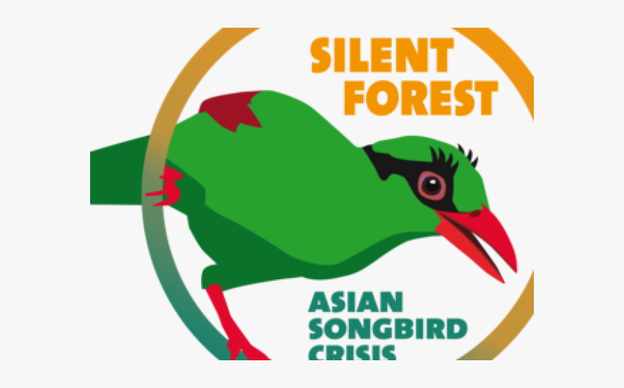 Songbird Clipart Five Bird, Transparent Clipart