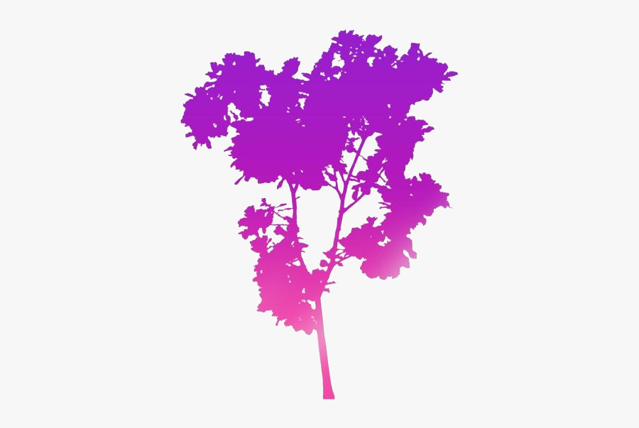 Fig Tree Leaves Png Clipart Free Download - Ficus Tree Transparent Background, Transparent Clipart