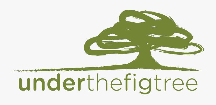 Orthodontics, Transparent Clipart