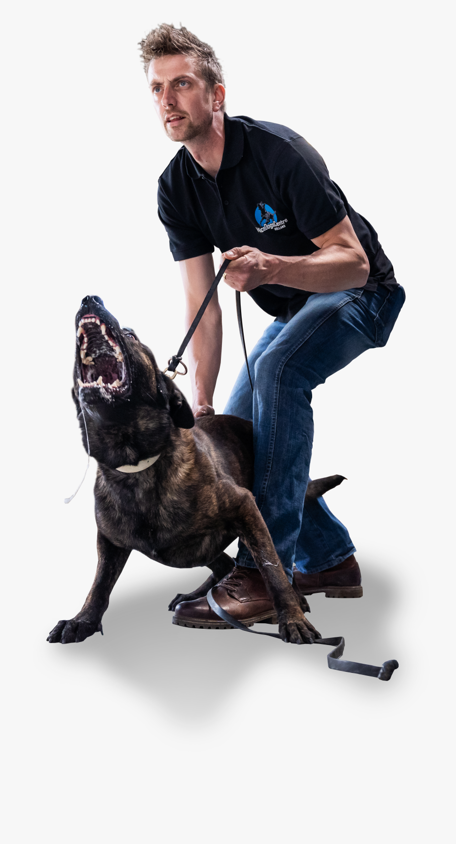 Staffordshire Bull Terrier, Transparent Clipart