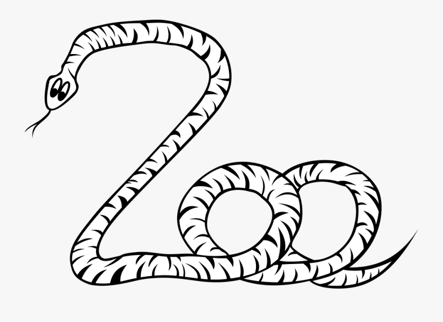 Snake, Nature, Animal, Viper, Gad, Fauna, No Background - Snake Drawing No Background, Transparent Clipart