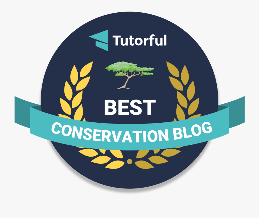 Clip Art Things You Might - Strength And Honour, Transparent Clipart