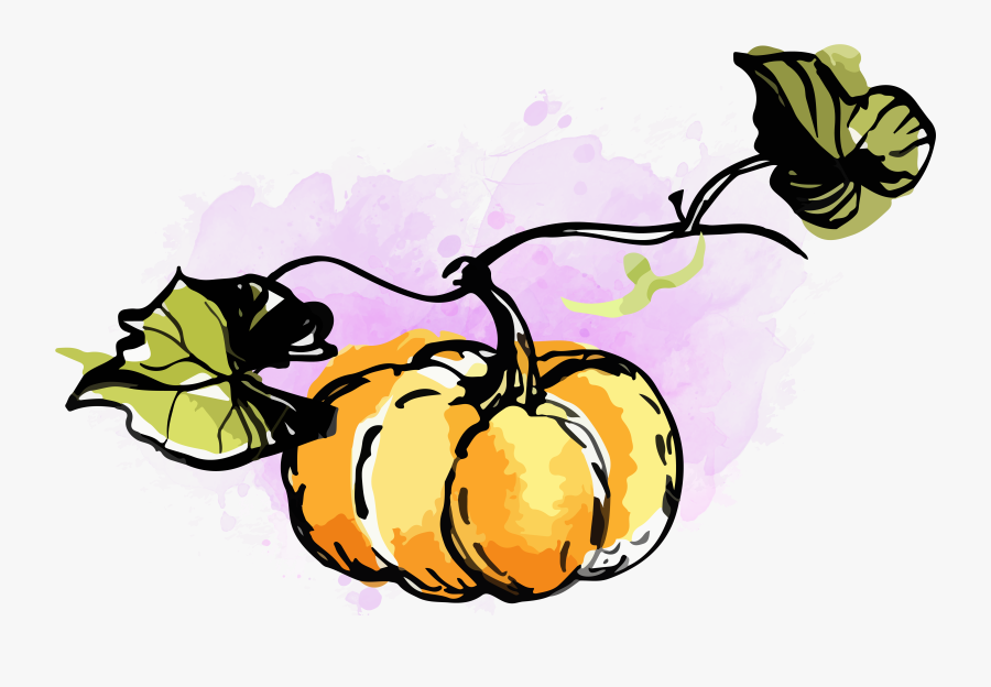 Pumpkin Clipart Watercolor - Clipart Pumpkin Png Watercolor, Transparent Clipart