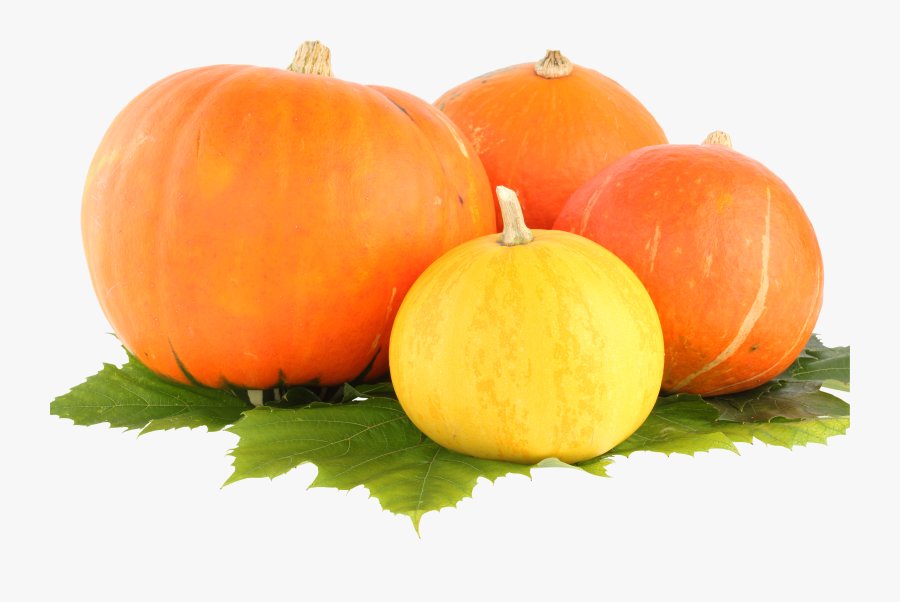 Transparent Pumpkins Clipart - Pumpkin Png, Transparent Clipart