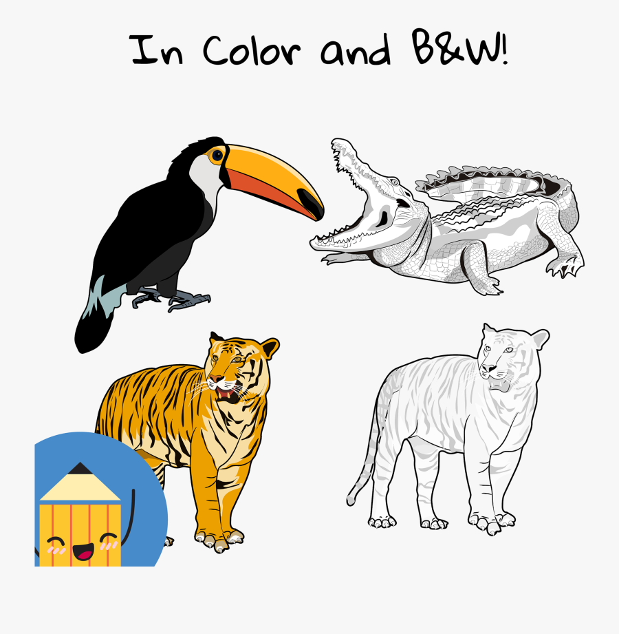 Illustration, Transparent Clipart