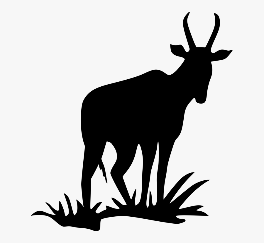 Animal, Antelope, Mammal, Silhouette, Zoo - Black Silhouette Antelope, Transparent Clipart