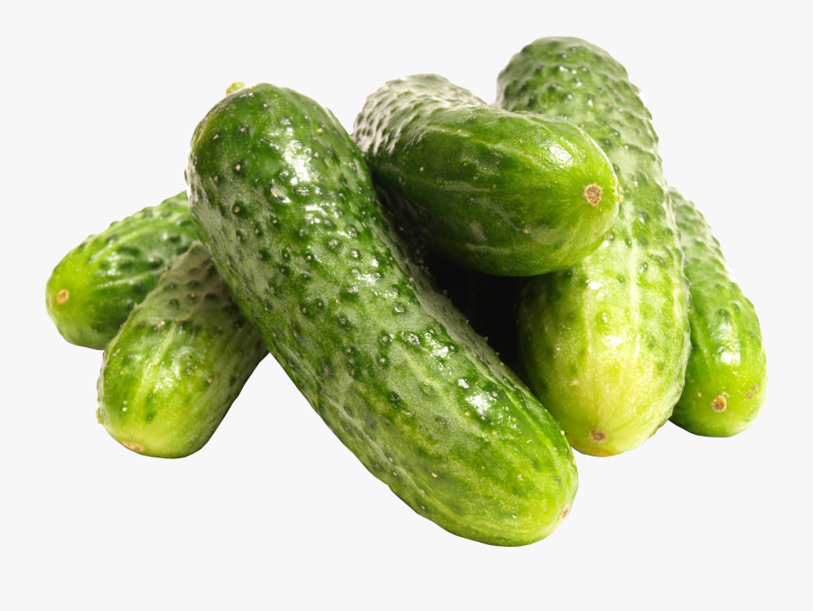 Cucumber Png Transparent, Transparent Clipart
