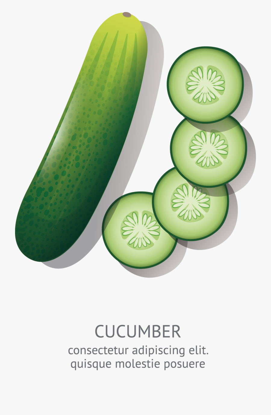 Transparent Cucumber Clipart - Cartoon Cucumber Drawing, Transparent Clipart