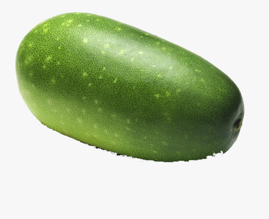 Cucumber Cantaloupe Wax Melon Vegetable Ⓒ - Squash, Transparent Clipart