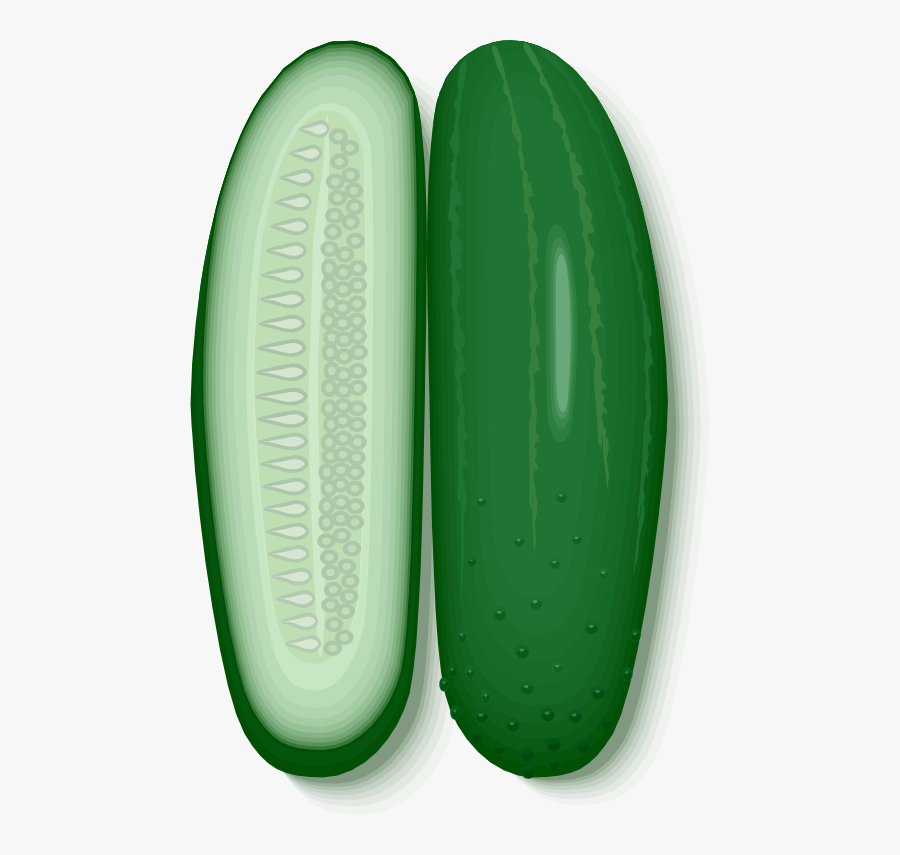 Cucumber, Transparent Clipart