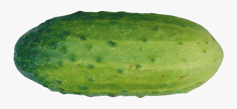 Cucumber Clipart Kiaavto - Огурец Пнг, Transparent Clipart