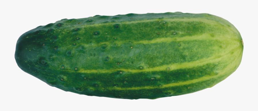 Cucumber With No Background, Transparent Clipart
