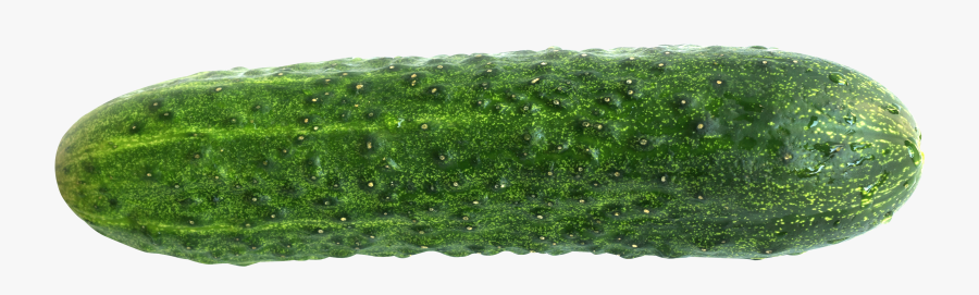 Cucumber Png, Transparent Clipart