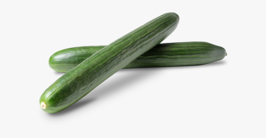 Clip Art Fresh Non Gmo Cucumbers - Cucumber, Transparent Clipart