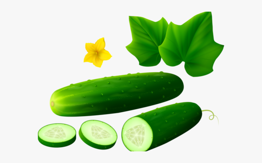 Transparent Cucumber Clipart - Cucumbers Clipart Png, Transparent Clipart