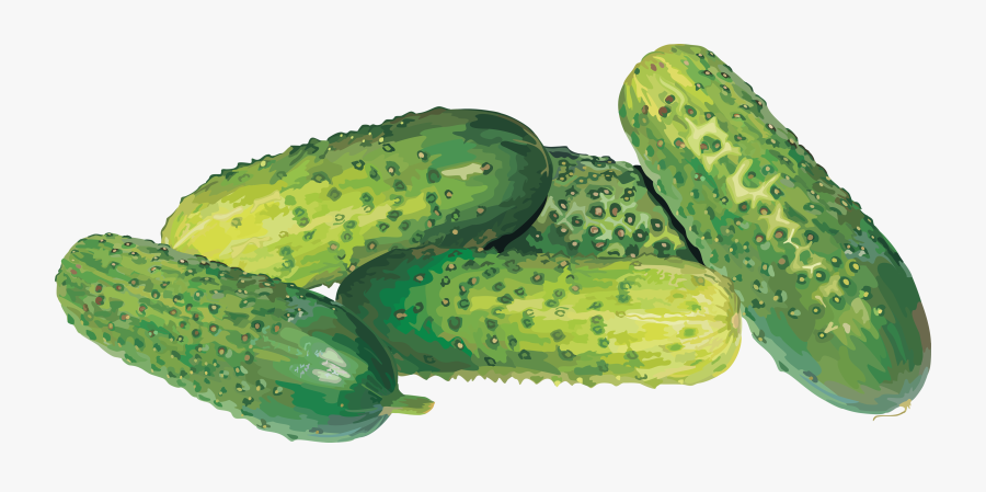Cucumber Free Download Png - Cucumbers Png, Transparent Clipart